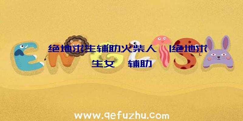 「绝地求生辅助火柴人」|绝地求生女娲辅助